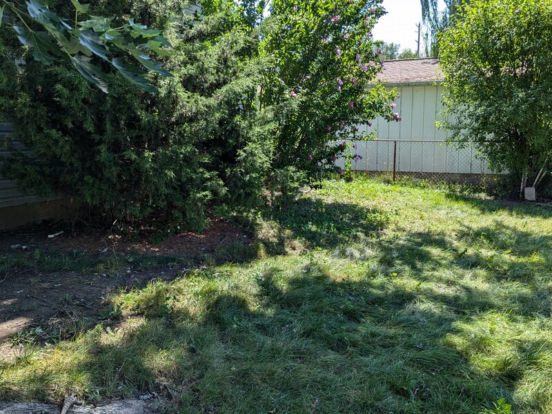 Lawnology lawn care work example 3