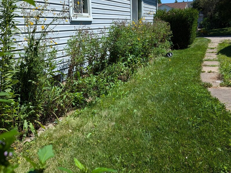 Lawnology lawn care project 15 in Metro Detroit