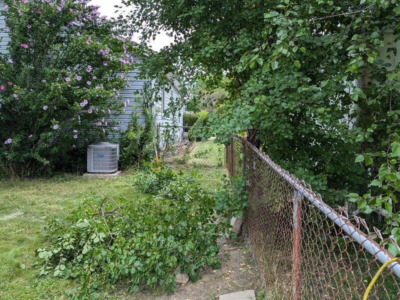 Lawnology lawn care project 25 in Metro Detroit