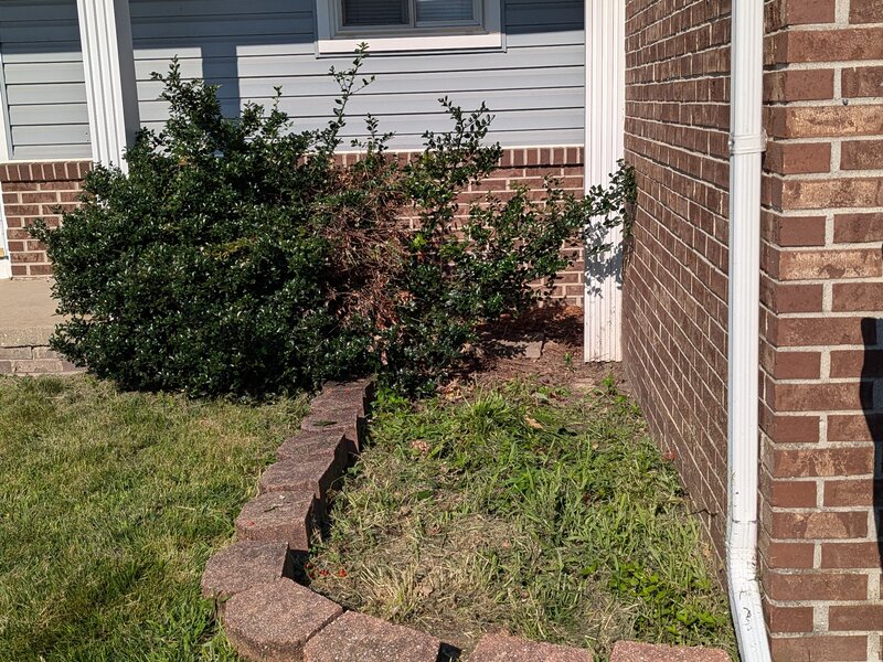 Lawnology lawn care project 26 in Metro Detroit