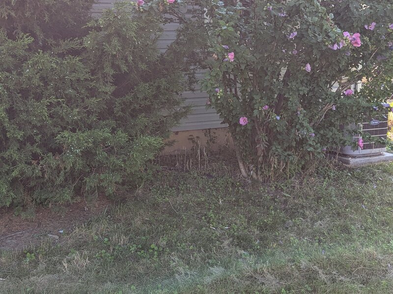 Lawnology lawn care project 34 in Metro Detroit