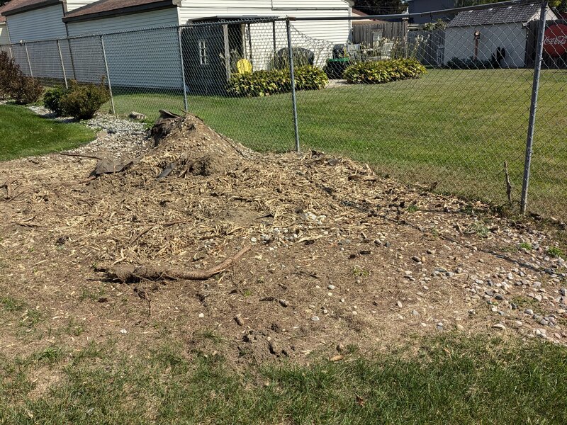 Lawnology lawn care project 42 in Metro Detroit