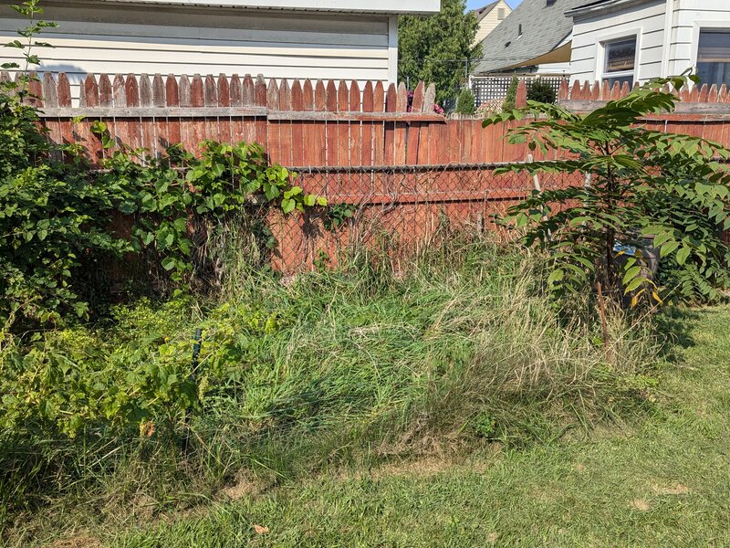 Lawnology lawn care project 44 in Metro Detroit