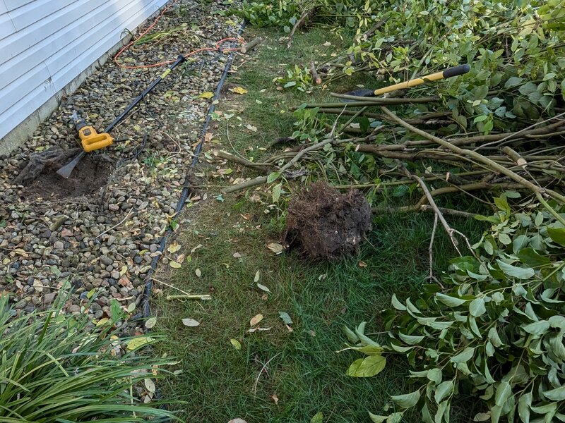 Lawnology lawn care project 46 in Metro Detroit