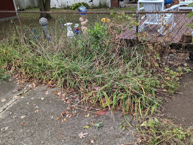 Lawnology lawn care project 50 in Metro Detroit