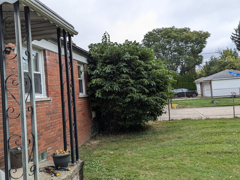 Lawnology lawn care project 53 in Metro Detroit