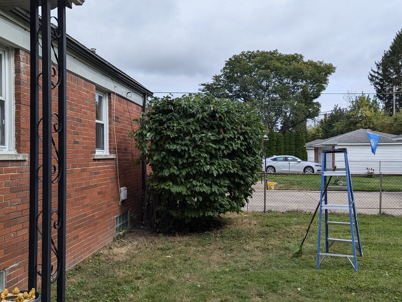 Lawnology lawn care project 55 in Metro Detroit