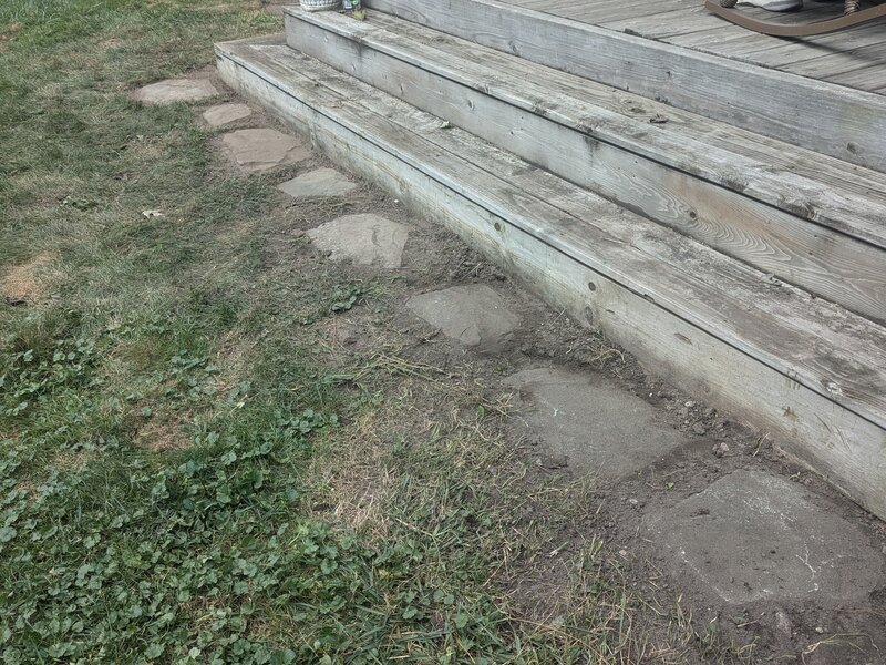 Lawnology lawn care project 62 in Metro Detroit