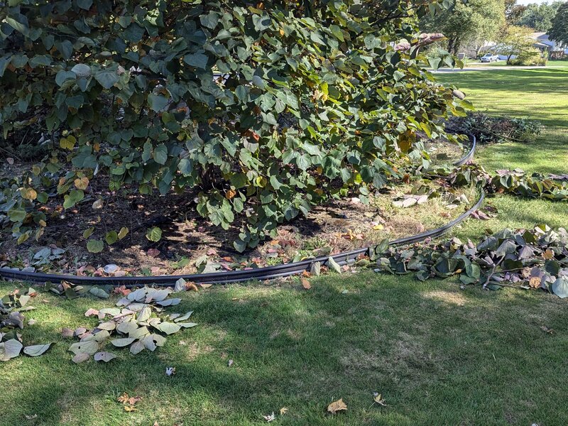 Lawnology lawn care project 68 in Metro Detroit