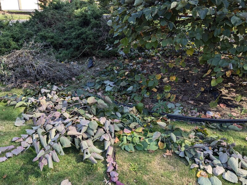 Lawnology lawn care project 69 in Metro Detroit