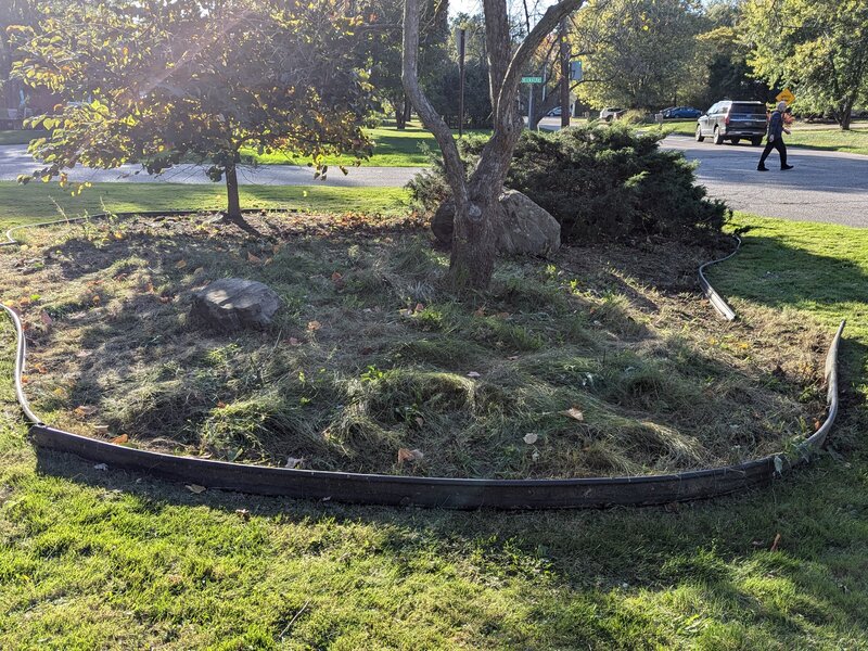 Lawnology lawn care project 73 in Metro Detroit