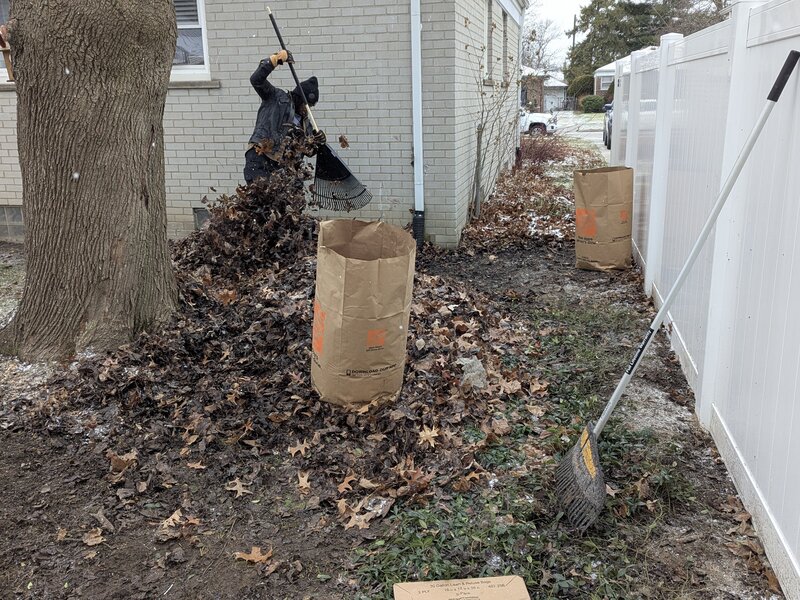 Lawnology lawn care project 80 in Metro Detroit