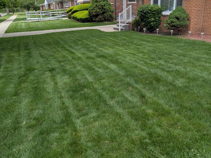 Lawnology lawn care project 89 in Metro Detroit