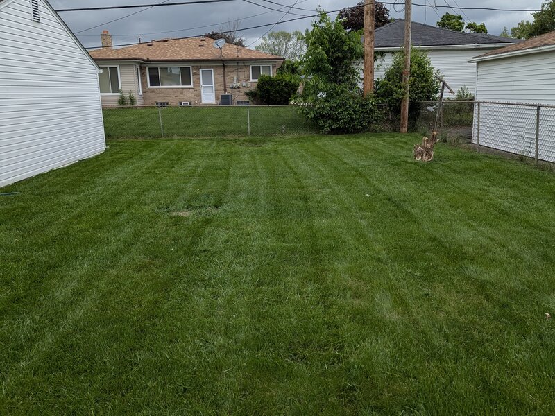 Lawnology lawn care project 90 in Metro Detroit