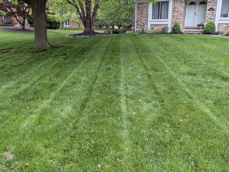 Lawnology lawn care project 91 in Metro Detroit