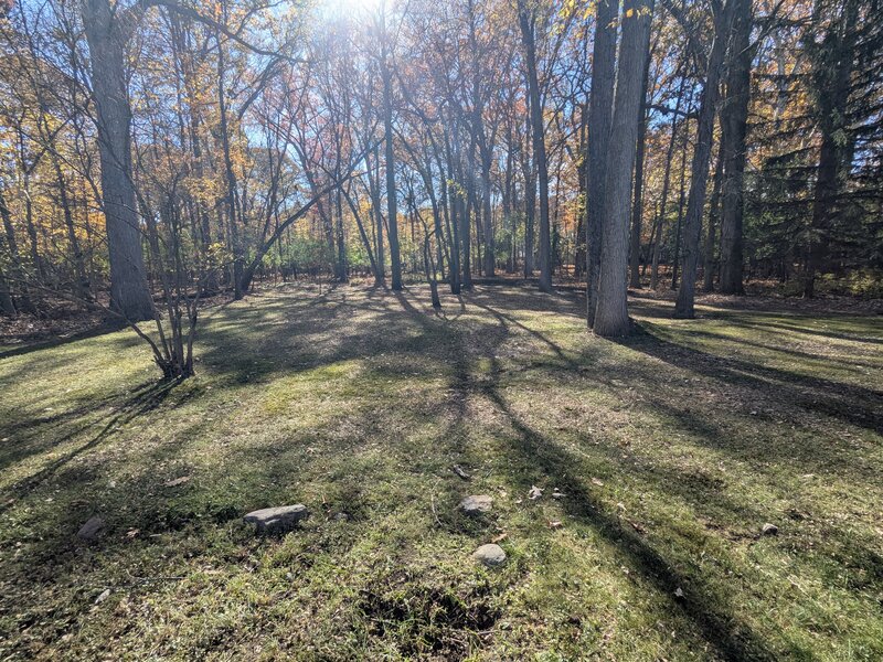 Lawnology lawn care project 95 in Metro Detroit