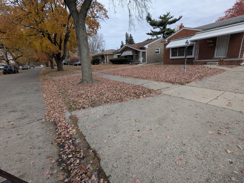 Lawnology lawn care project 97 in Metro Detroit